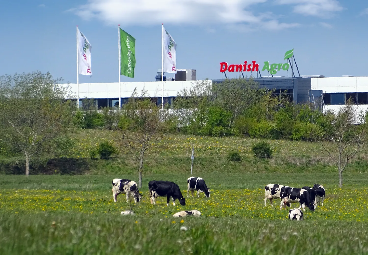 Danish Agro group