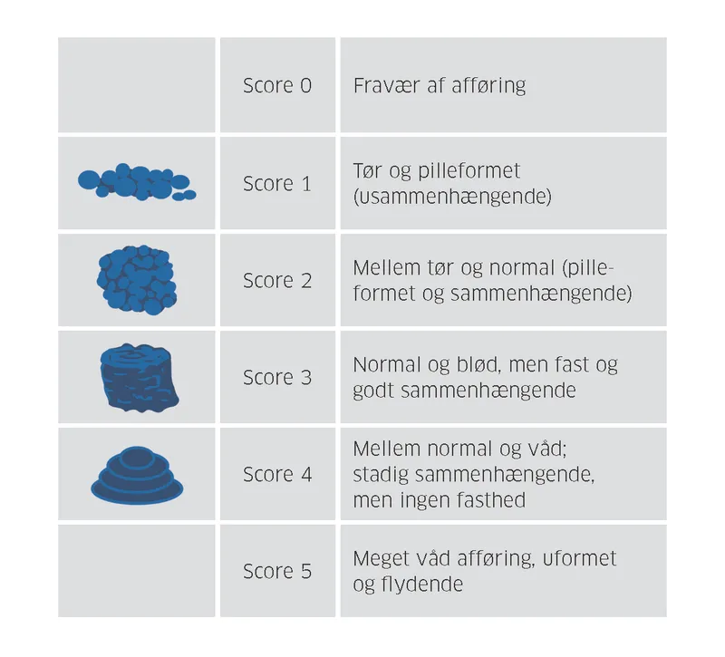 Jagten på den gode lort - hvordan skal den se ud hos søerne?