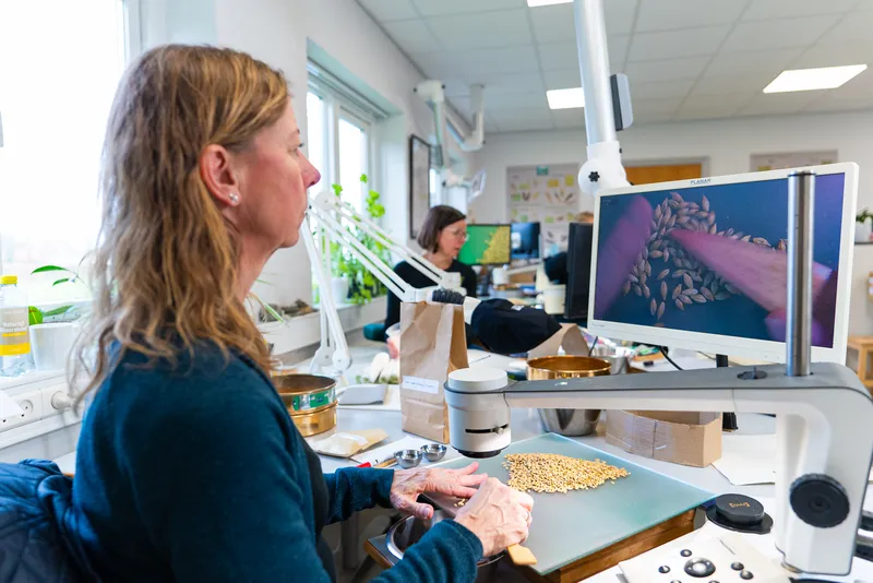 Seed lab
